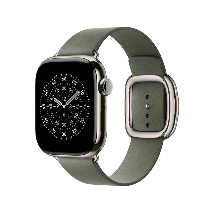 42mm Sage Grey Modern Buckle - Large