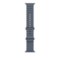 49mm Anchor Blue Ocean Band - Natural Titanium Finish