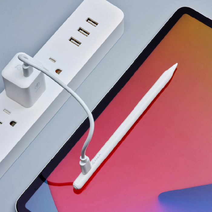 ADAM elements ปากกาสไตลัส Stylus Magnetic Wireless Charging USB-C สีดำ