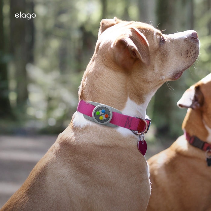 เคส Airtag Elago W5 Pet Collar สี Black