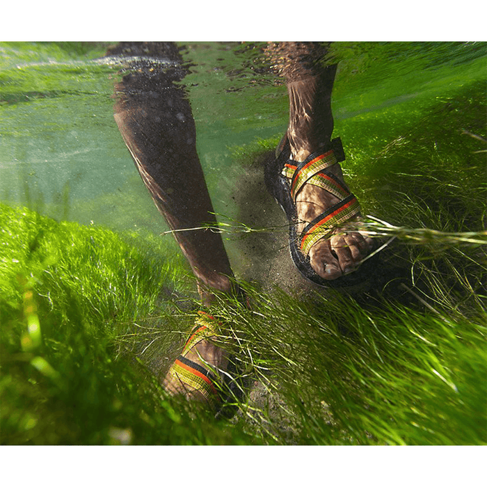 Chaco Men's Z1 Classic in Bluff Hunter - BoardCo