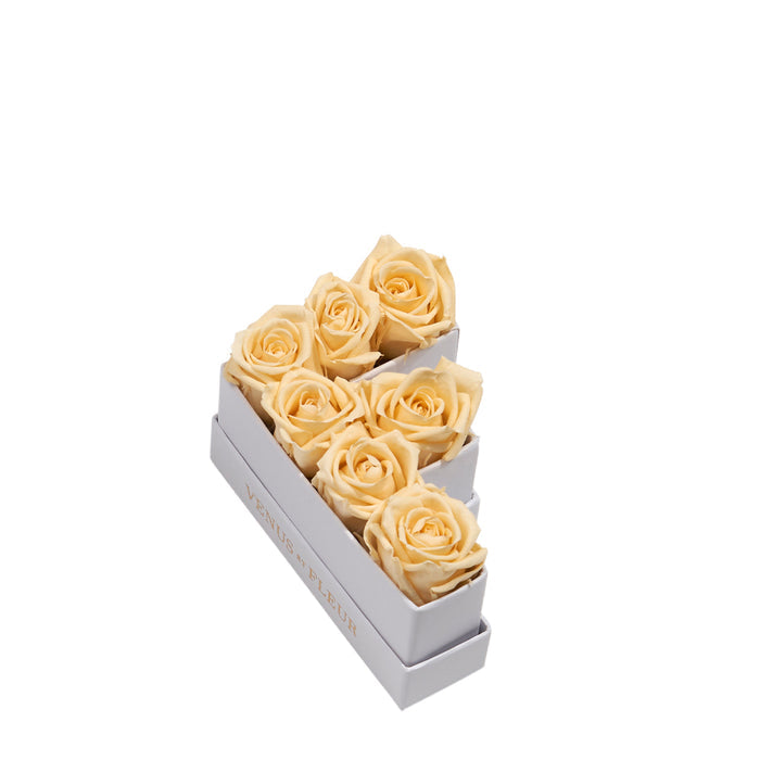 Le Mini Letter - F