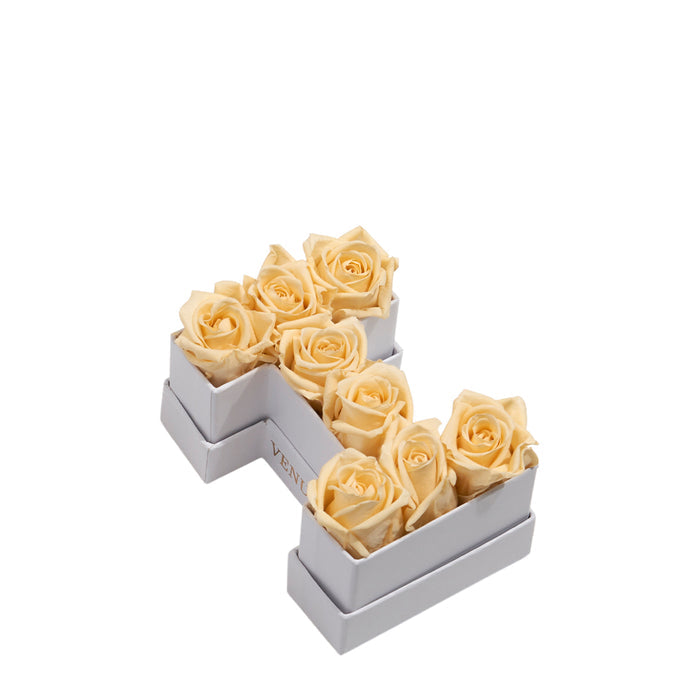 Le Mini Letter - I