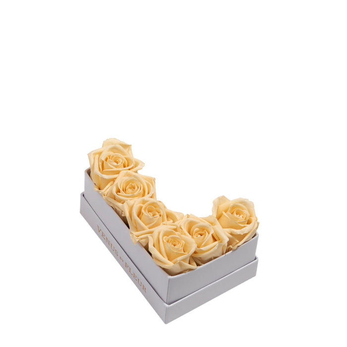 Le Mini Letter - L