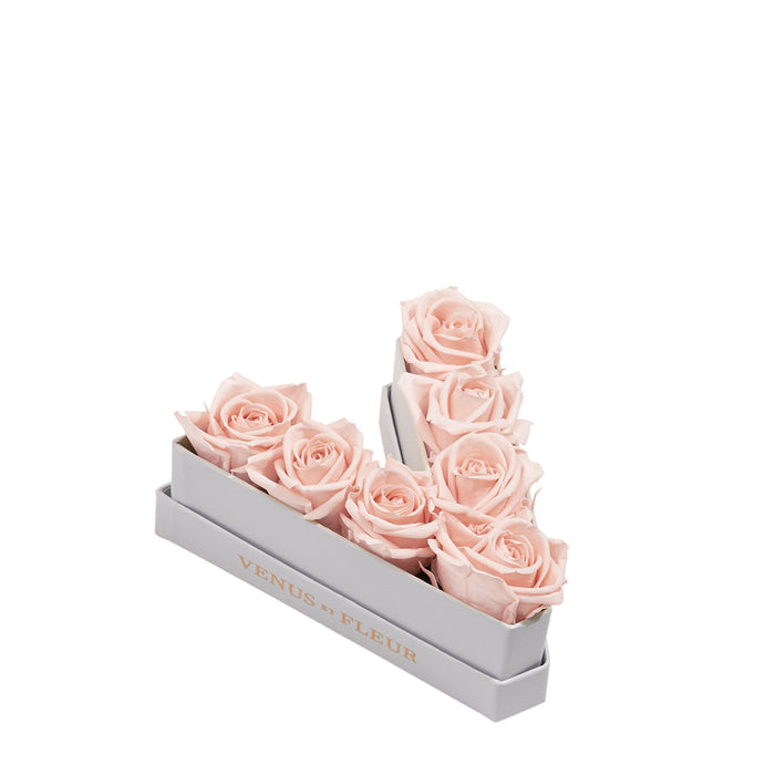 Le Mini Letter - V