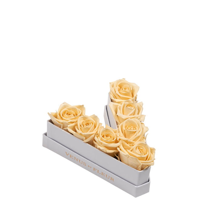 Le Mini Letter - V