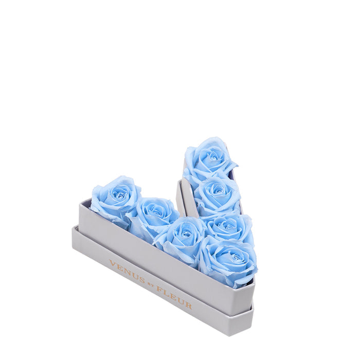Le Mini Letter - V