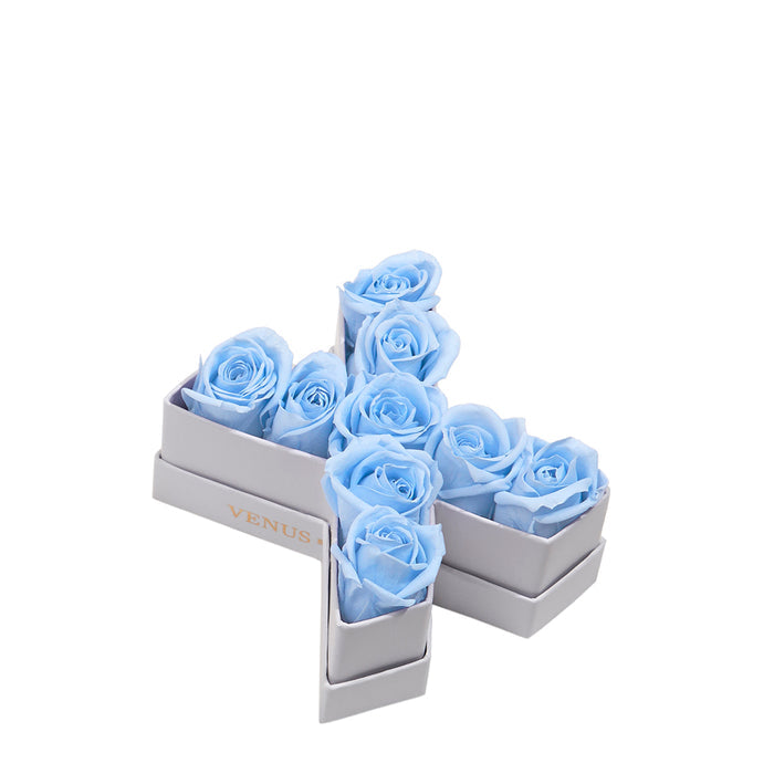 Le Mini Letter - X