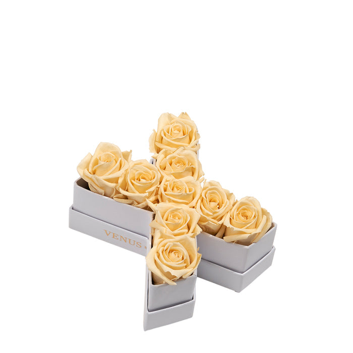 Le Mini Letter - X