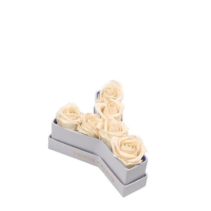 Le Mini Letter - Y