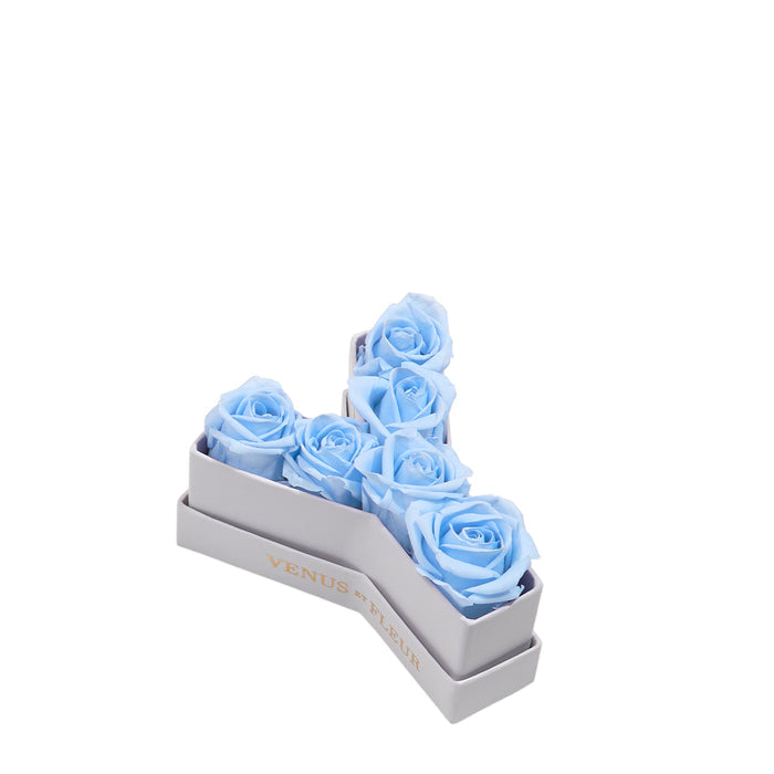 Y / Baby Blue