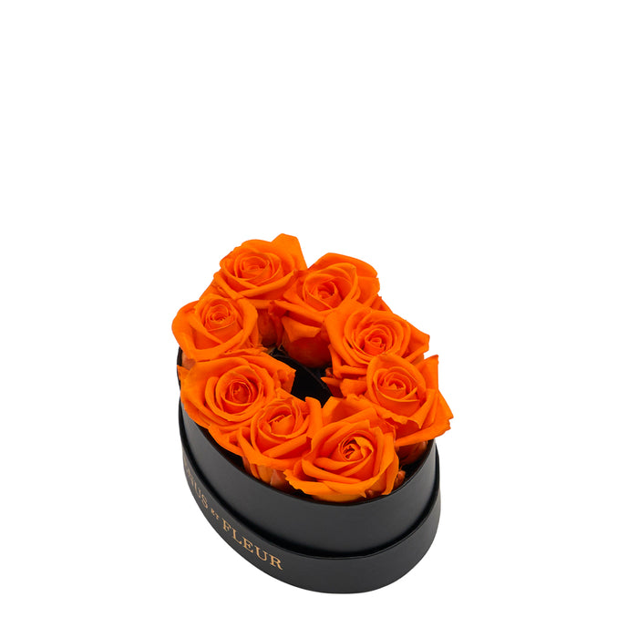 Zero / Orange