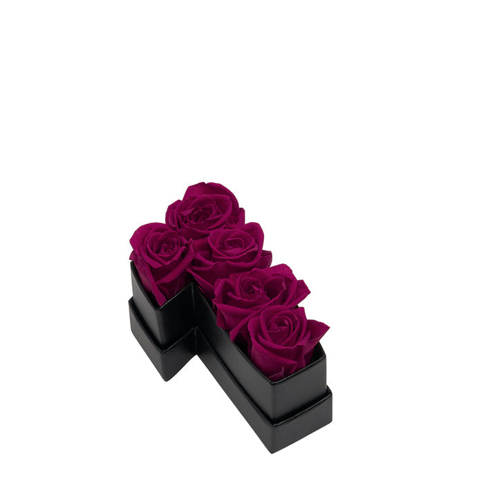 One / Plum