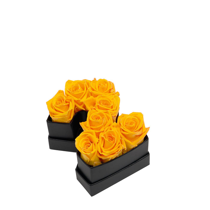 Two / Yellow