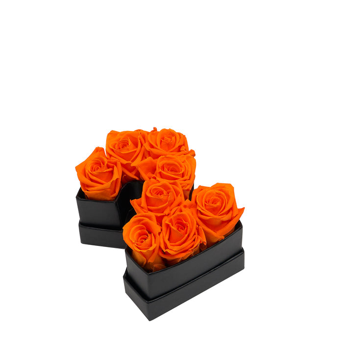 Two / Orange