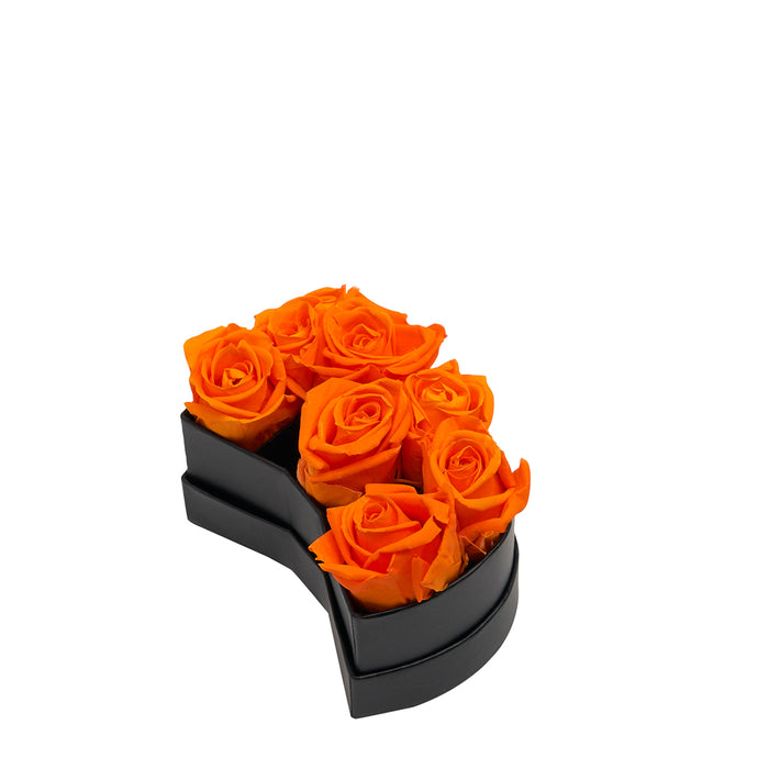 Three / Orange