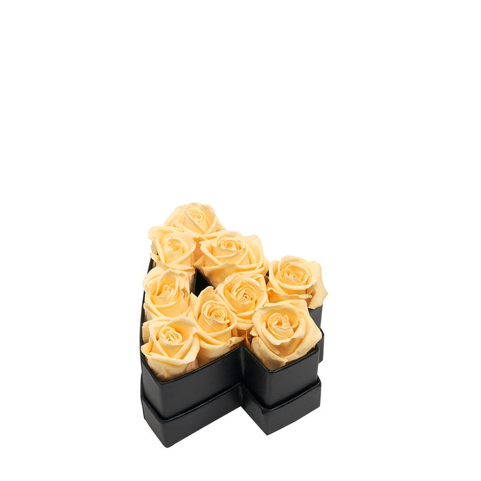 Four / Champagne