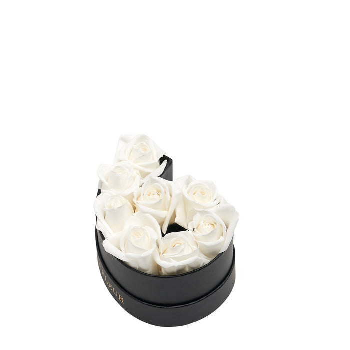 Six / Pure White