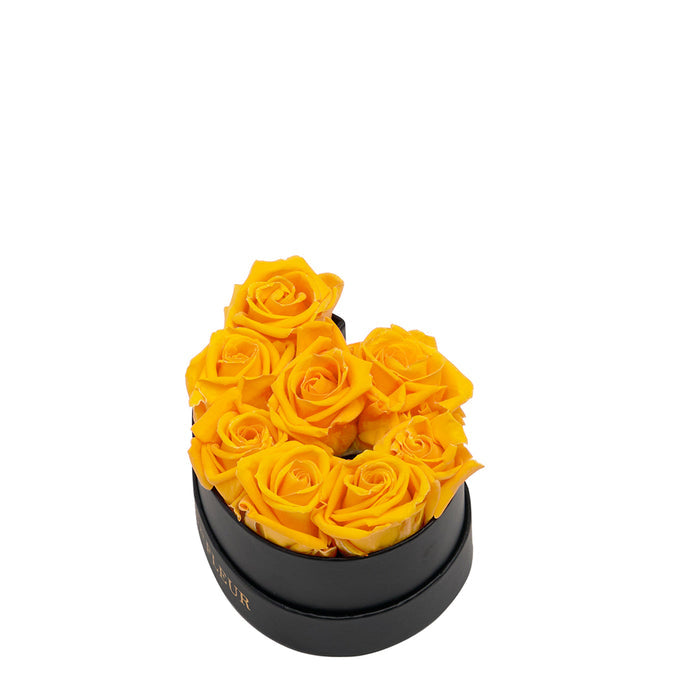 Six / Yellow