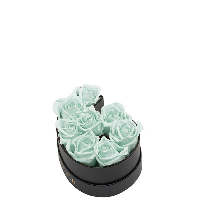 Six / Mint