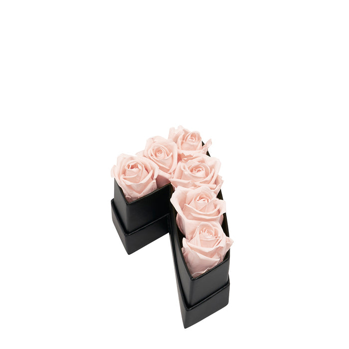 Seven / Blush