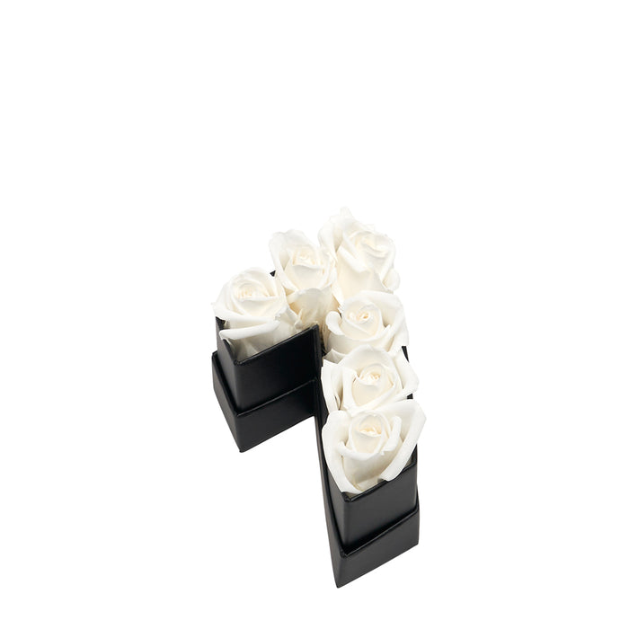Seven / Pure White