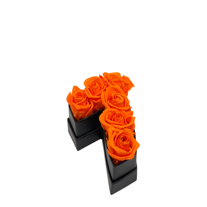 Seven / Orange