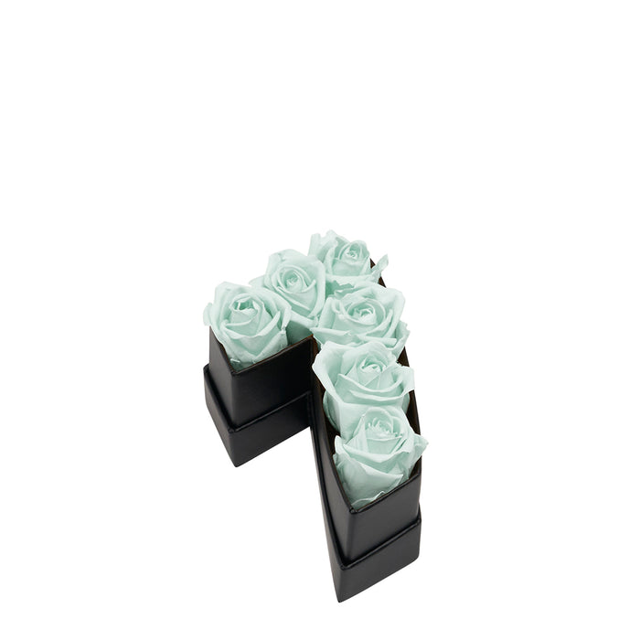 Seven / Mint