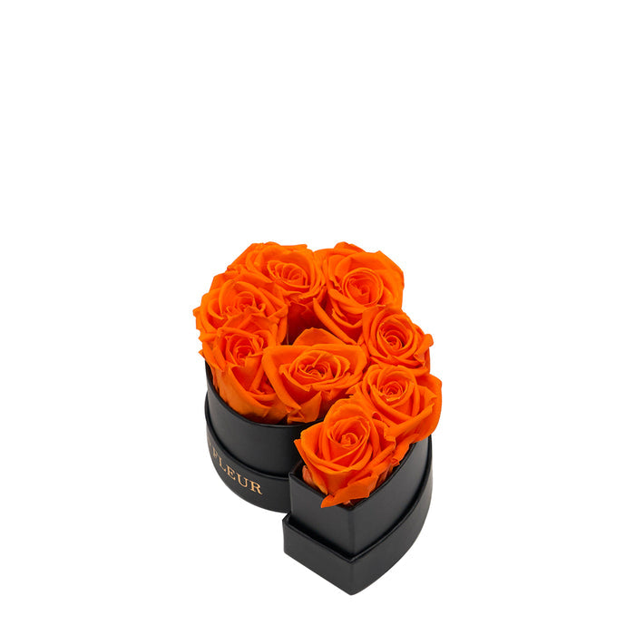 Nine / Orange