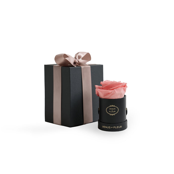 Black Classic / Pink