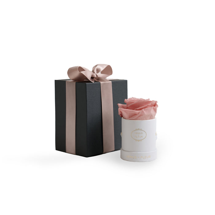 White Classic / Dusty Rose