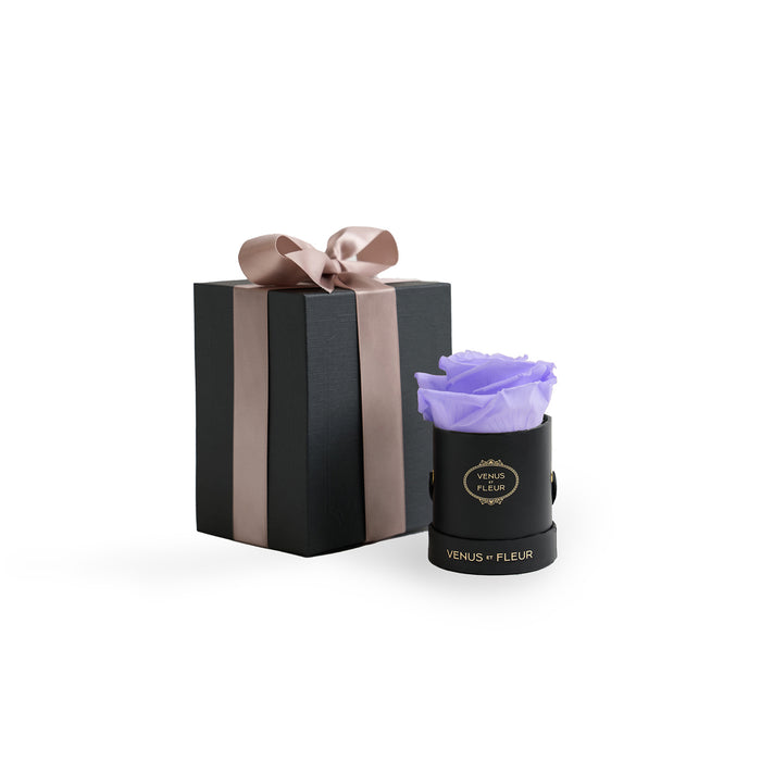 Black Classic / Cool Lavender
