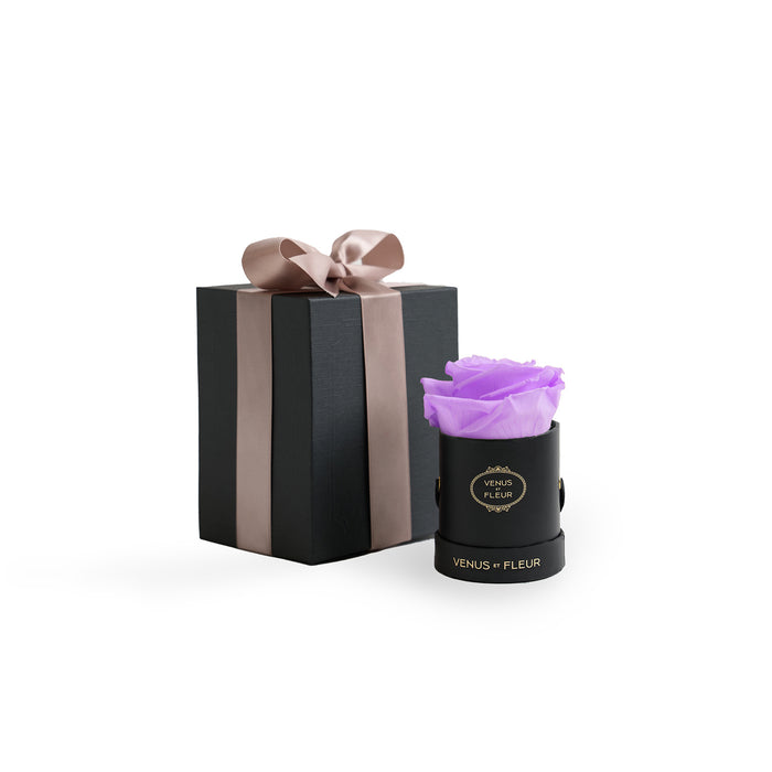 Black Classic / Lilac
