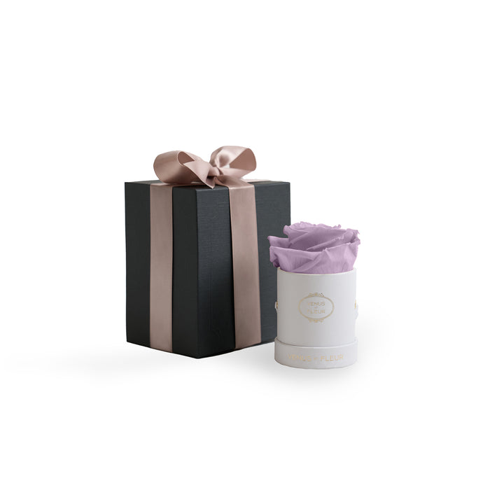 White Classic / Dusty Lavender