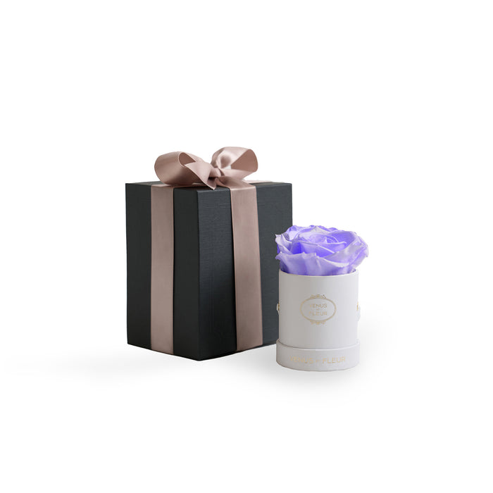 White Classic / Cool Lavender