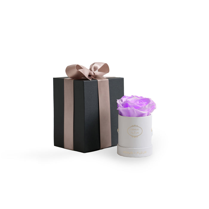 White Classic / Lilac