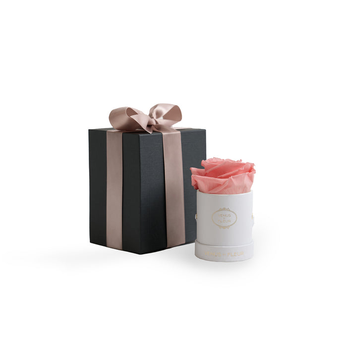 White Classic / Pink