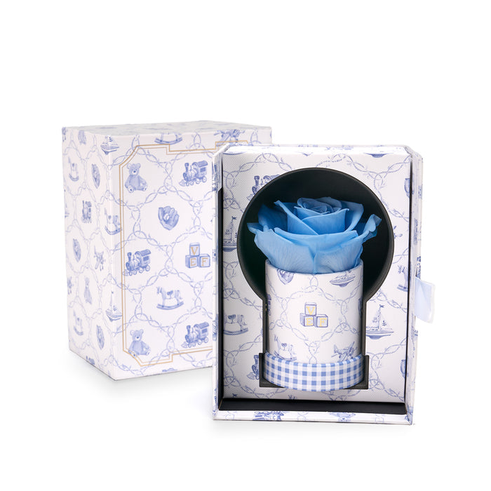Toile Bleue / Baby Blue