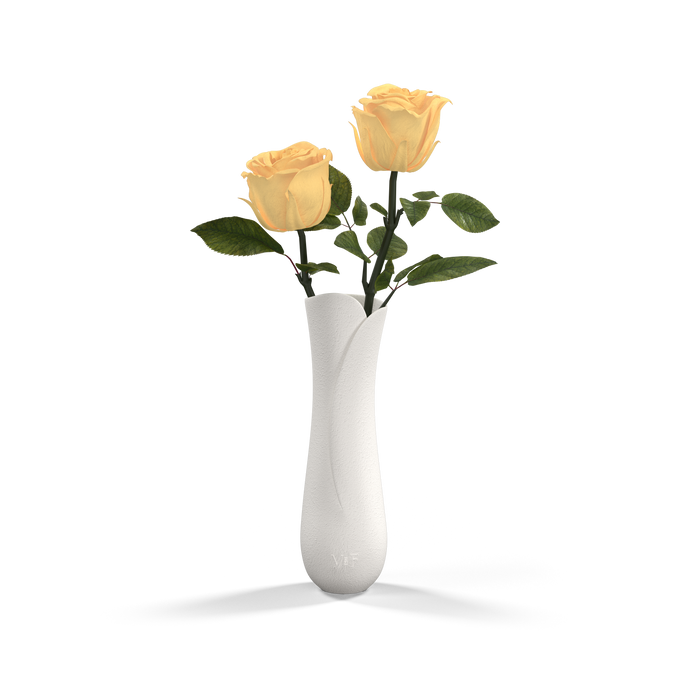 Mojave Narrow Bud Vase