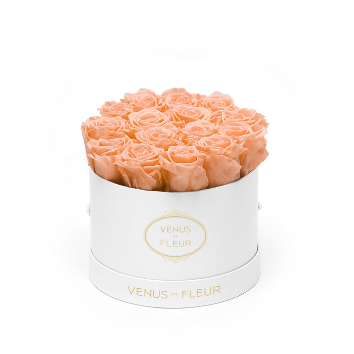 White Classic / Peach Nectar