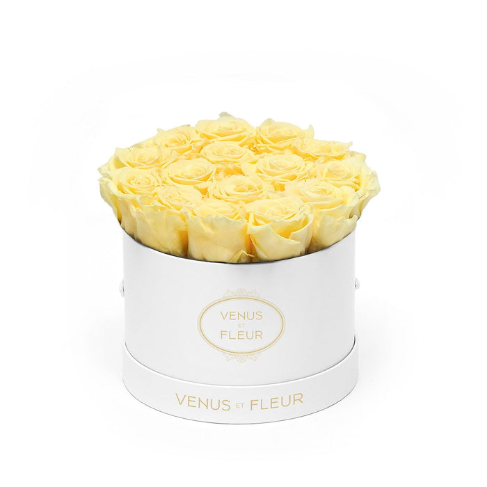 White Classic / Buttermilk Yellow