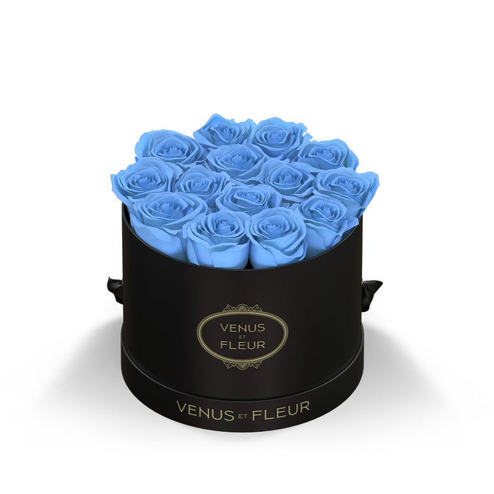 Black Classic / Baby Blue