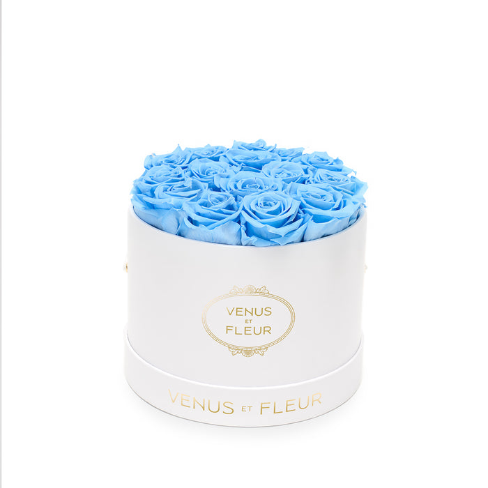 White Classic / Baby Blue