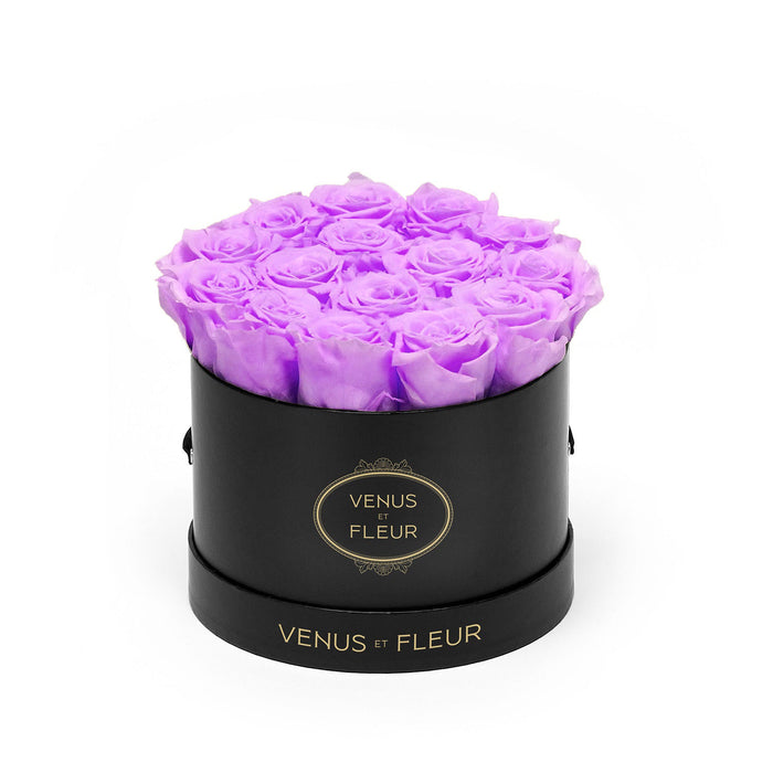 Black Classic / Lilac