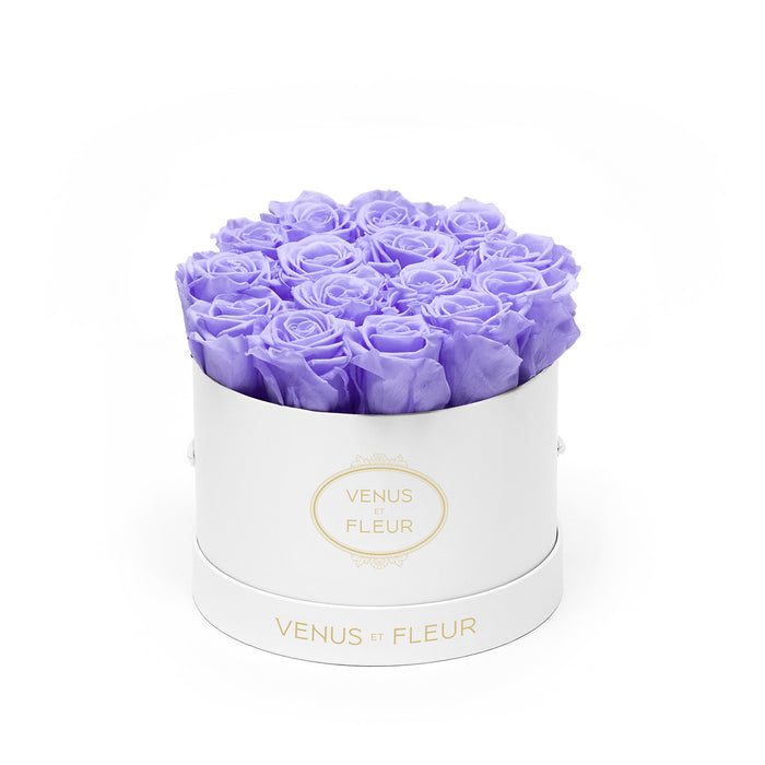 White Classic / Cool Lavender