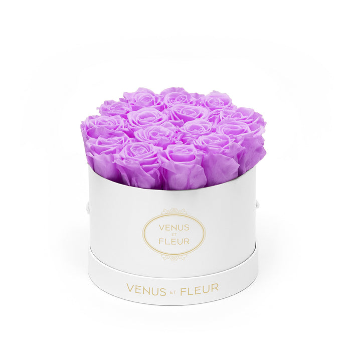 White Classic / Lilac