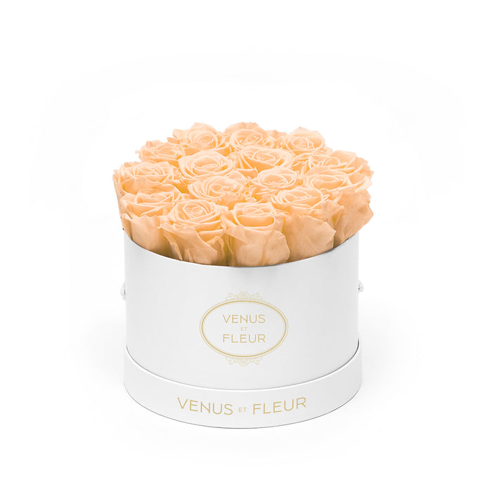 White Classic / Cantaloupe