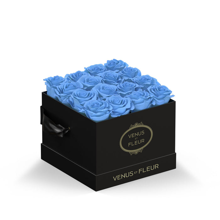 Black Classic / Baby Blue