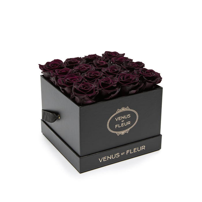 Black Classic / Blackberry