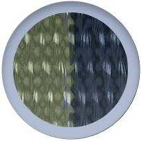 ColorSwatch
